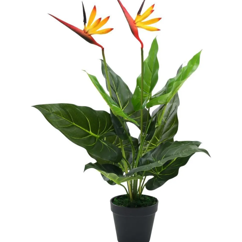 Tekokasvi helokolibrikukka 66 cm