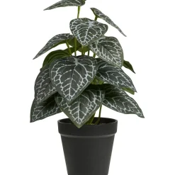 Tekokasvi House Nordic Alocasia, 33cm, vihreä