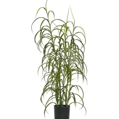 Tekokasvi House Nordic, 68cm, vihreä