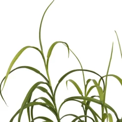 Tekokasvi House Nordic, 68cm, vihreä