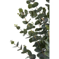 Tekokasvi House Nordic Eukalyptuspuu, 120cm, vihreä