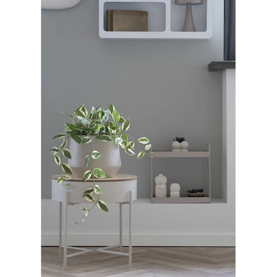 Tekokasvi House Nordic Hoya Carnosa, 33cm, vihreä