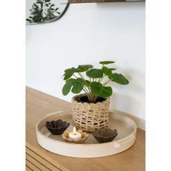 Tekokasvi House Nordic Kilpipiilea, 28cm, vihreä