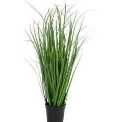 Tekokasvi House Nordic Poa-koristeheinä, 68cm, vihreä