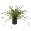 Tekokasvi House Nordic Ruoho, 45cm, vihreä