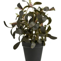 Tekokasvi House Nordic Skimmia, 35cm, vihreä
