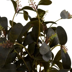 Tekokasvi House Nordic Skimmia, 35cm, vihreä