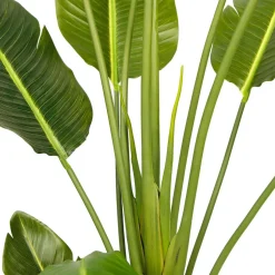 Tekokasvi Lykke Bird of Paradise, 200cm