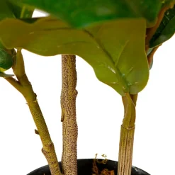 Tekokasvi Lykke Fiddle-Leaf Fig, 85cm