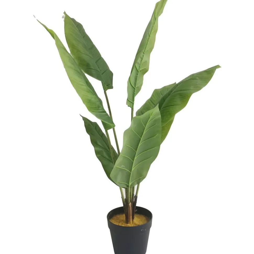Tekokasvi Lykke Peace Lily, 105cm