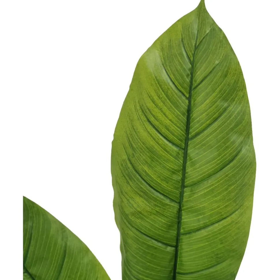 Tekokasvi Lykke Peace Lily, 105cm