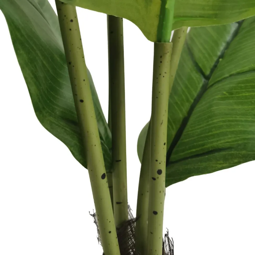 Tekokasvi Lykke Peace Lily, 105cm