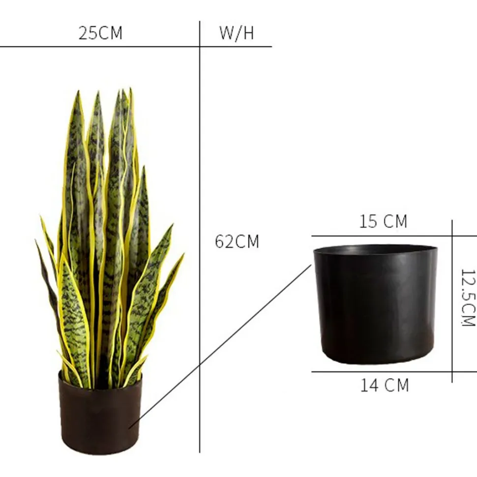 Tekokasvi Lykke Snake Plant, 65cm