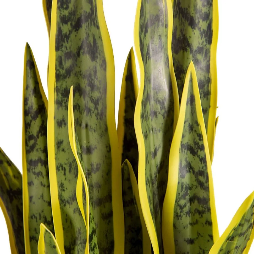 Tekokasvi Lykke Snake Plant, 65cm