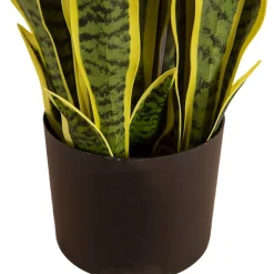 Tekokasvi Lykke Snake Plant, 65cm