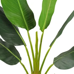 Tekokasvi Lykke Strelitzia Tree, 90cm
