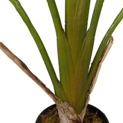 Tekokasvi Lykke Strelitzia Tree, 90cm