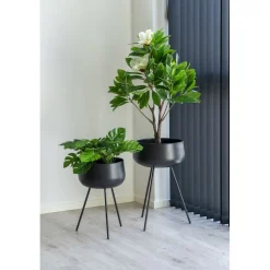 Tekokasvi peikonlehti House Nordic Monstera, vihreä