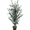 Tekopuu Home4You WIND EUCALYPTUS K120 cm, vihreä