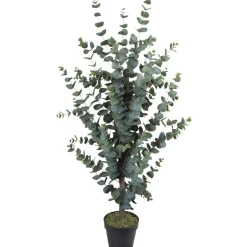 Tekopuu Home4You WIND EUCALYPTUS K120 cm, vihreä