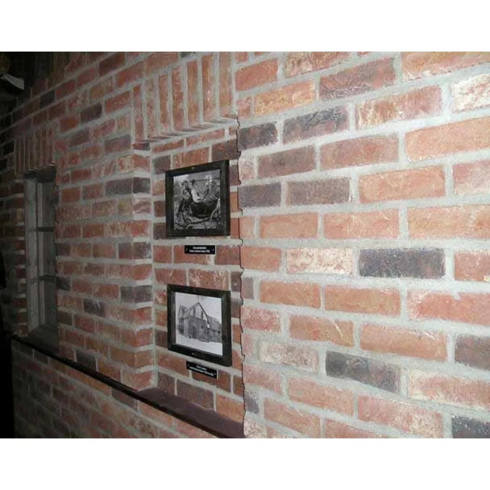 Tiililaatta TERCA 215x65x20 mm Pastorale käsinlyöty