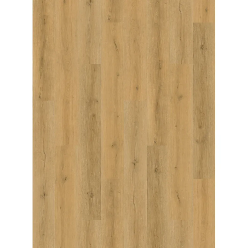Vinyylilankku Habitas Flooring Wildwood, jäykkäydin, askeläänieriste