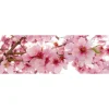 Välitilatarra Dimex Apple Blossom 180x60cm
