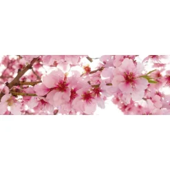 Välitilatarra Dimex Apple Blossom 180x60cm