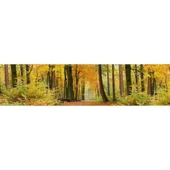 Välitilatarra Dimex Autumn Forest 180x60cm