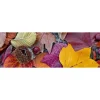 Välitilatarra Dimex Autumn Leaves 260x60cm