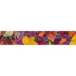 Välitilatarra Dimex Autumn Leaves 260x60cm