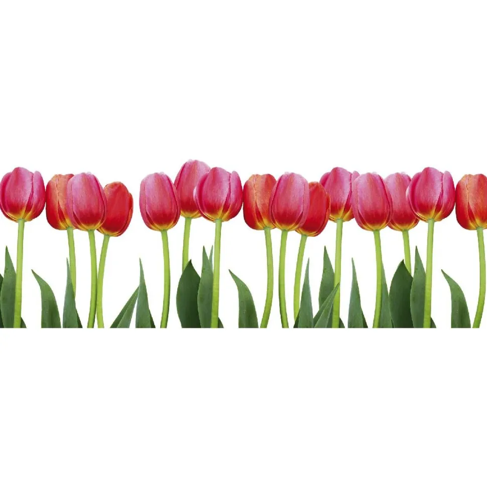 Välitilatarra Dimex Bed of Tulips 180x60cm