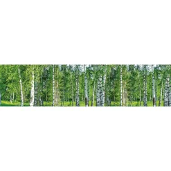 Välitilatarra Dimex Birch Grow 180x60cm