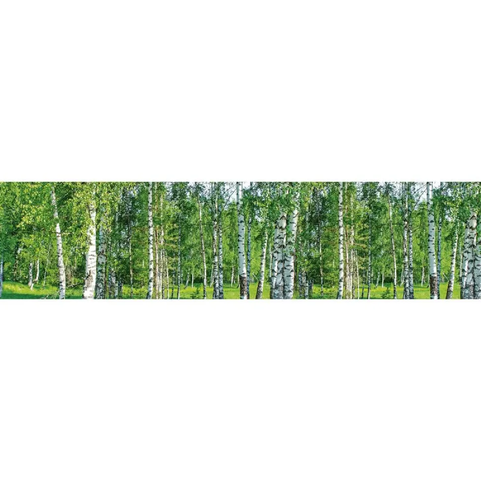 Välitilatarra Dimex Birch Grow 180x60cm