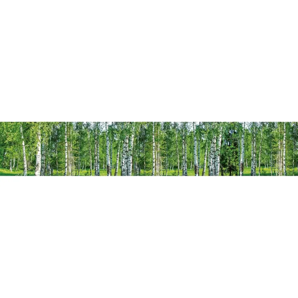 Välitilatarra Dimex Birch Grow 180x60cm