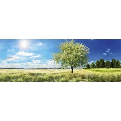 Välitilatarra Dimex Blossom Tree 180x60cm