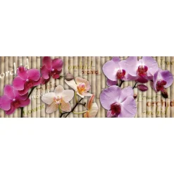 Välitilatarra Dimex Orchid 180-350x60cm