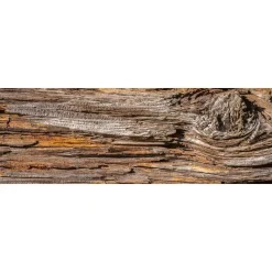 Välitilatarra Dimex Tree Bark 260x60cm
