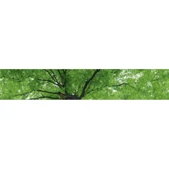 Välitilatarra Dimex Treetop 180x60cm