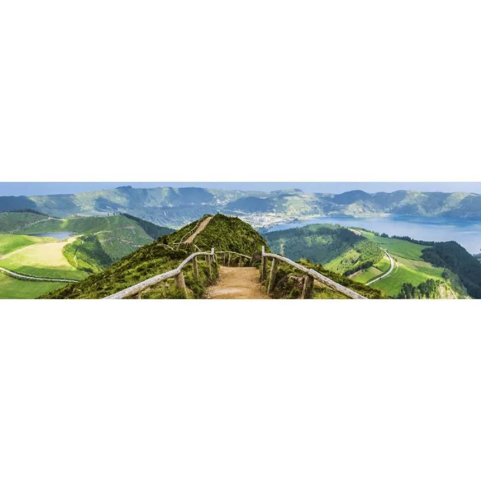 Välitilatarra Dimex Walking Path 260x60cm
